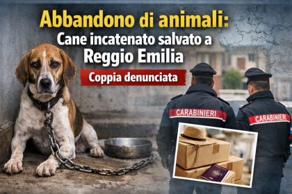 Cane abbandonato incatenato sul pianerottolo a Reggio Emilia salvato dai carabinieri