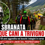 Bosco di Trivigno in Valtellina con sentiero montano dove è avvenuta l’aggressione dei cani
