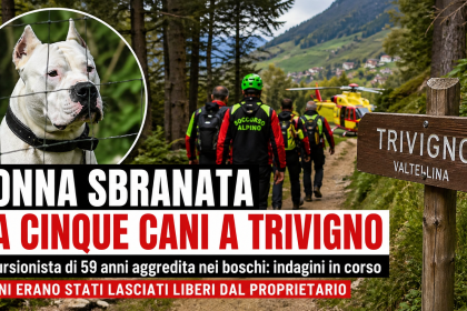 Bosco di Trivigno in Valtellina con sentiero montano dove è avvenuta l’aggressione dei cani