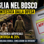 Famiglia nel bosco con casa isolata mentre la perizia viene analizzata con intelligenza artificiale
