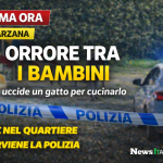 Sarzana, uomo uccide gatto e lo cucina in un parco pubblico davanti ai bambini, interviene la polizia