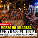 Turista morso da cobra durante spettacolo in hotel a Hurghada con soccorsi sul posto