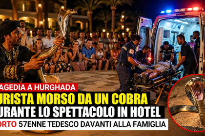 Turista morso da cobra durante spettacolo in hotel a Hurghada con soccorsi sul posto