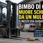 Muletto fermo in un piazzale industriale dopo la tragedia del bambino morto nel Bellunese